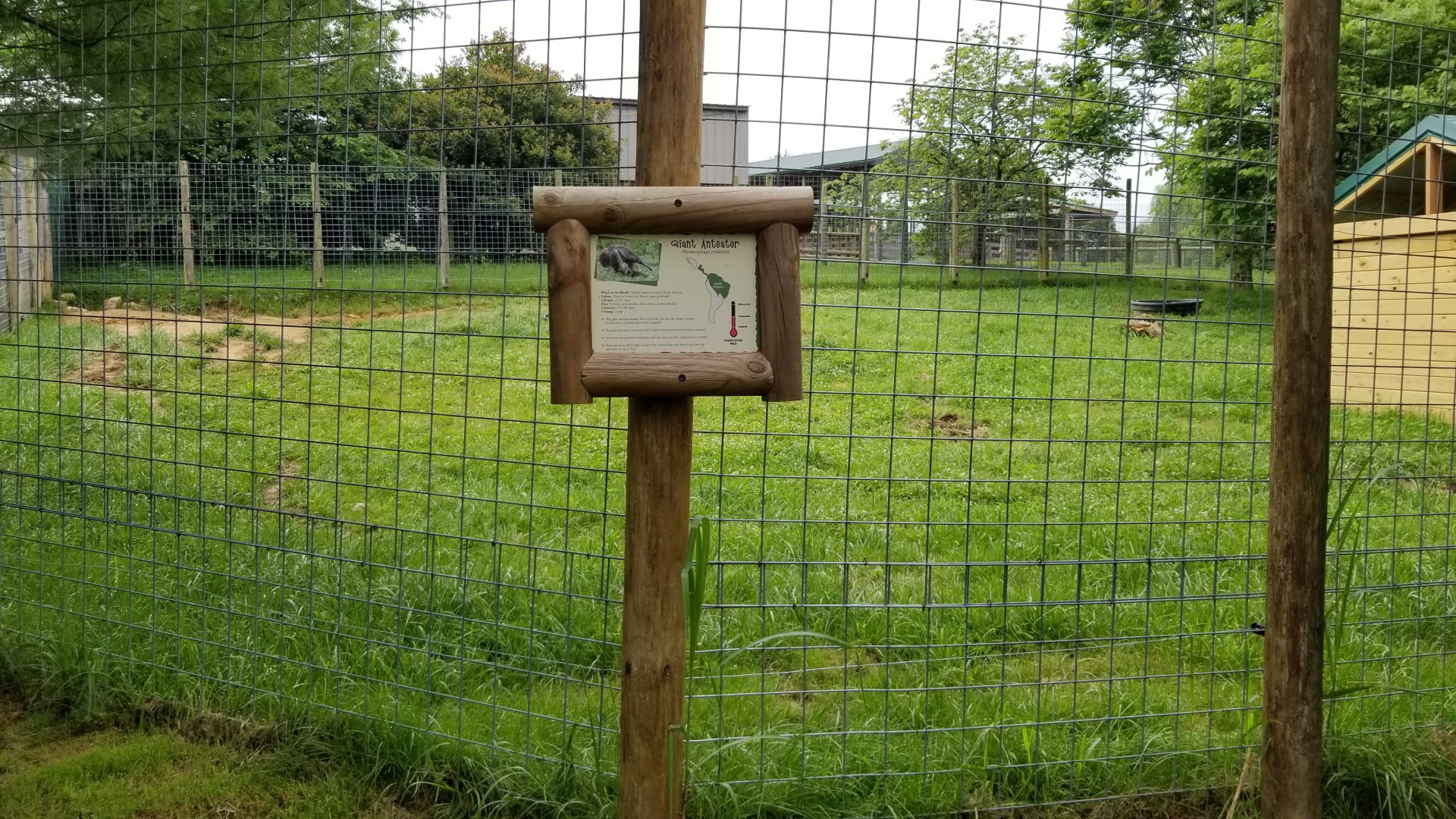 Virginia Safari Park - Giant anteater yard