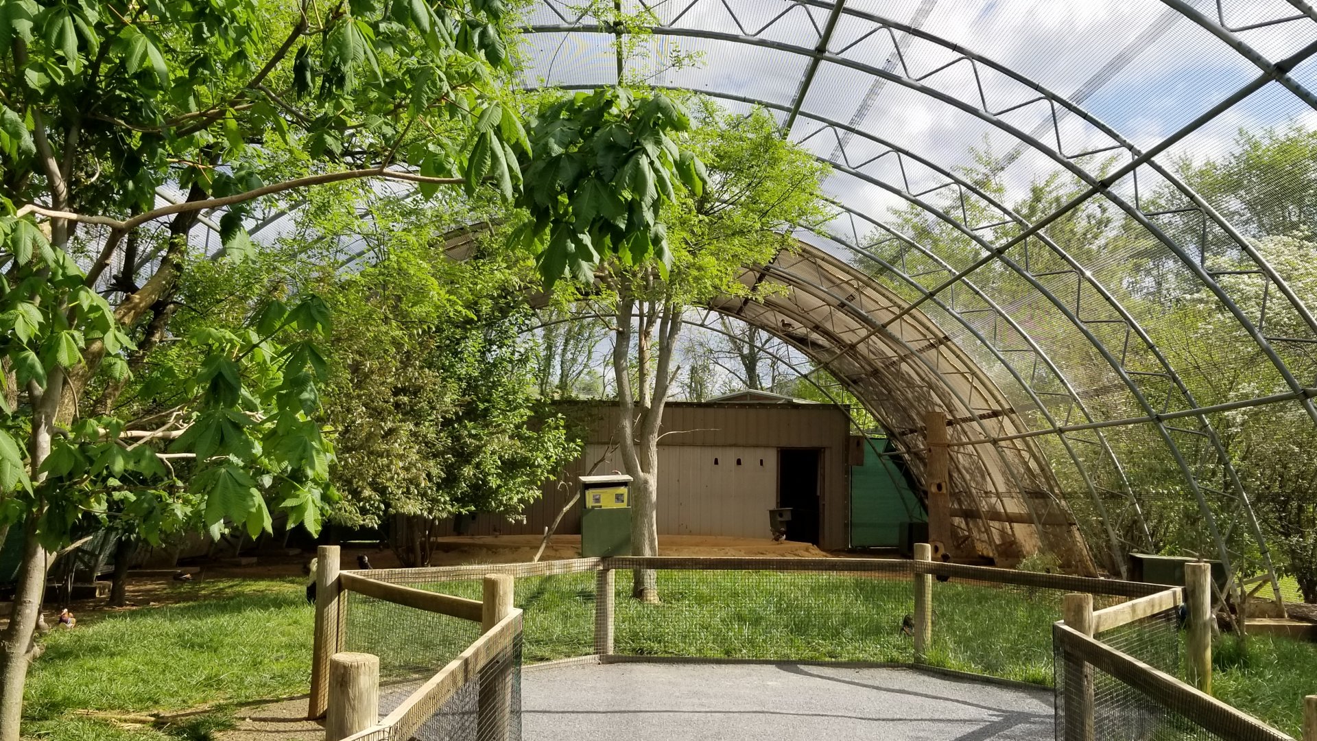 Virginia Safari Park - Inside aviary