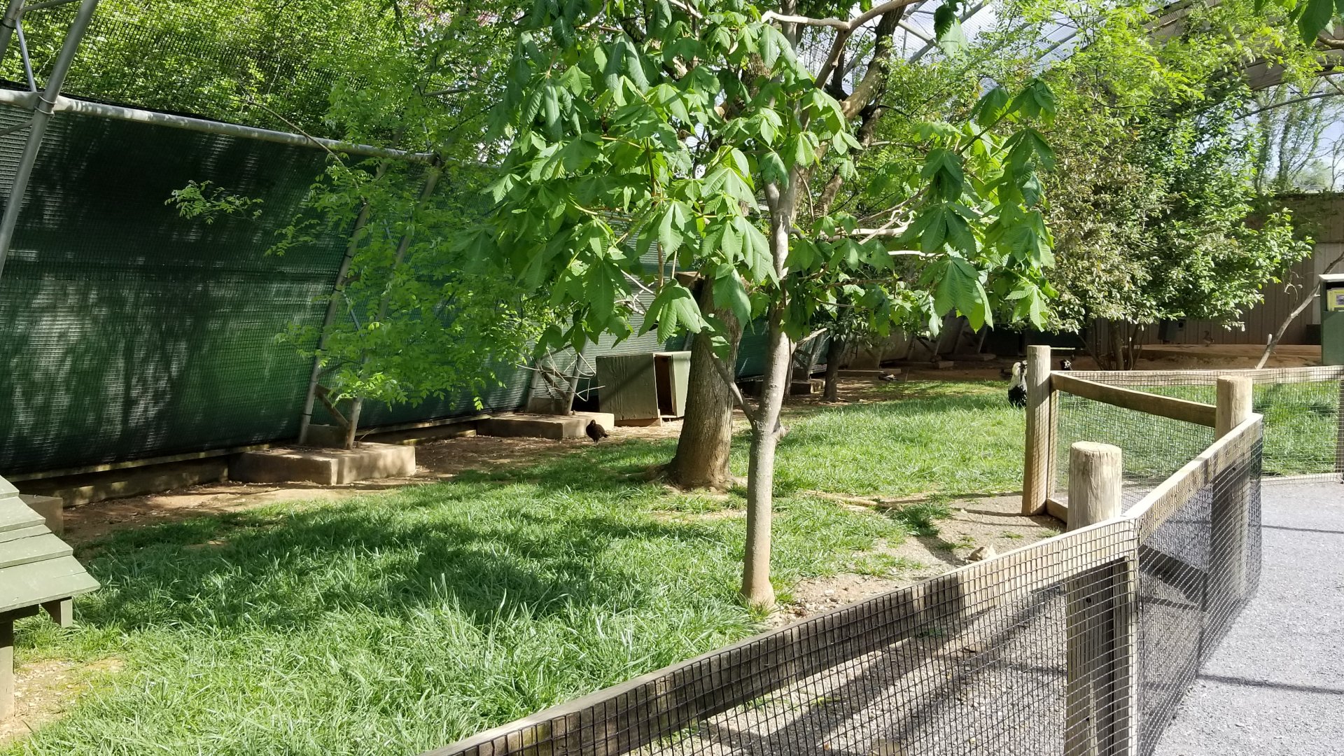 Virginia Safari Park - Inside aviary