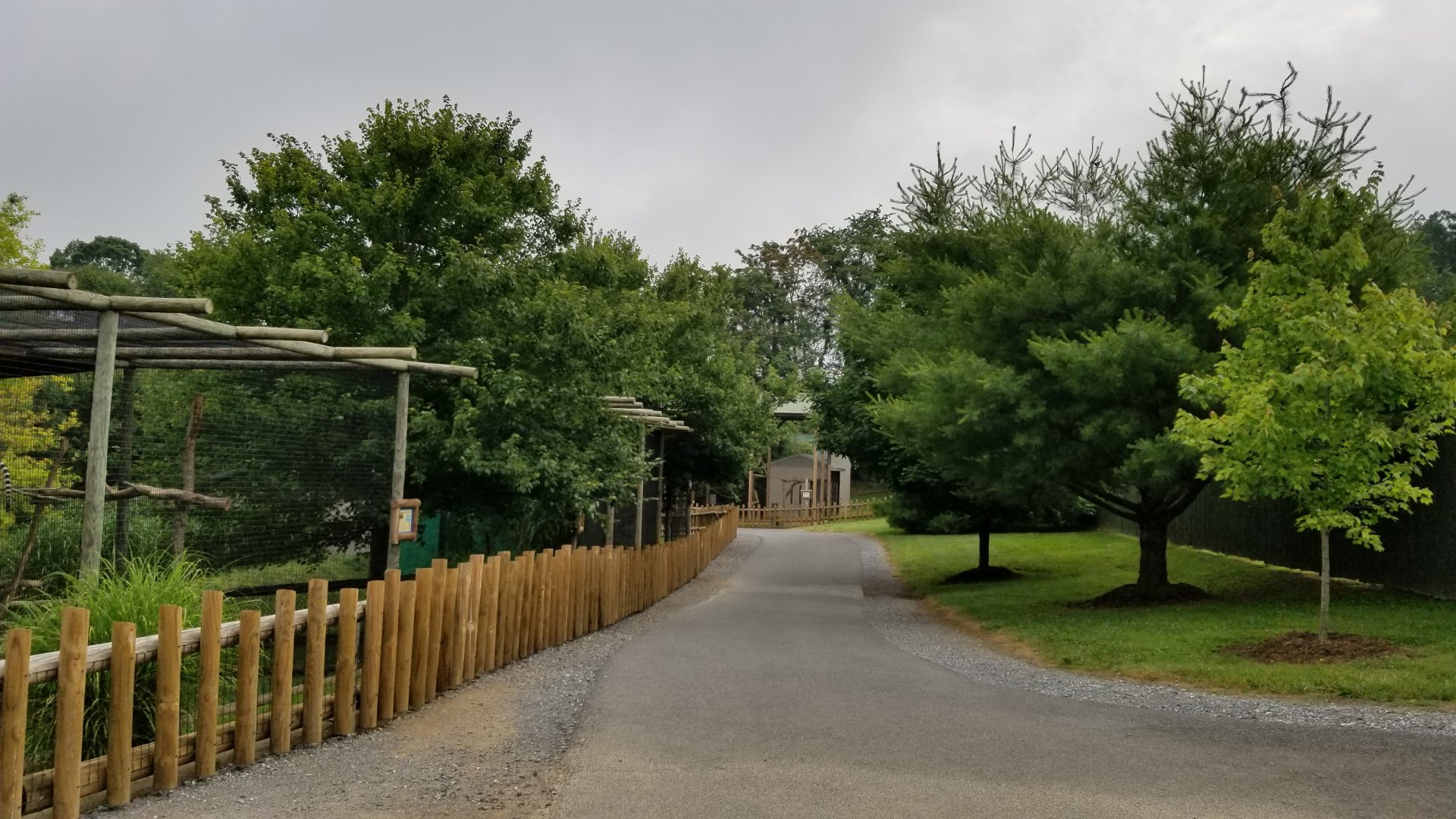 Virginia Safari Park - Path past lemurs (on left)