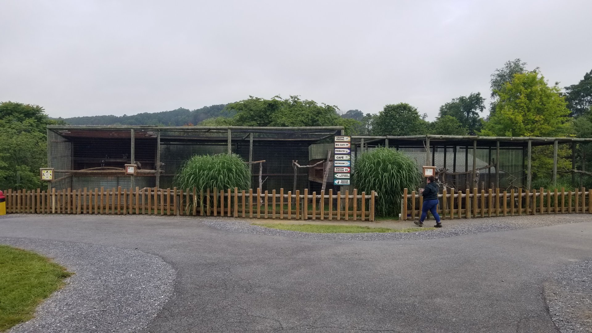 Virginia Safari Park - Path past squirrel monkeys