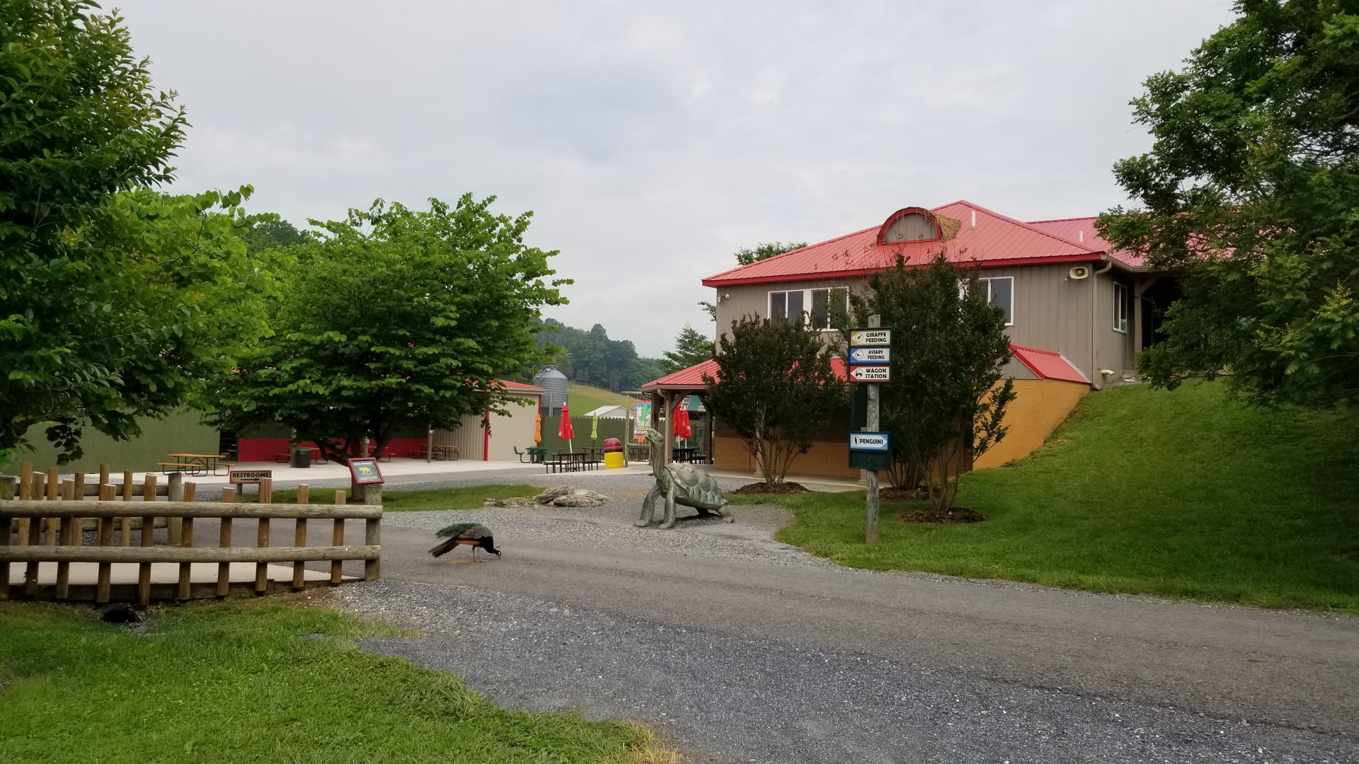 Virginia Safari Park - Path