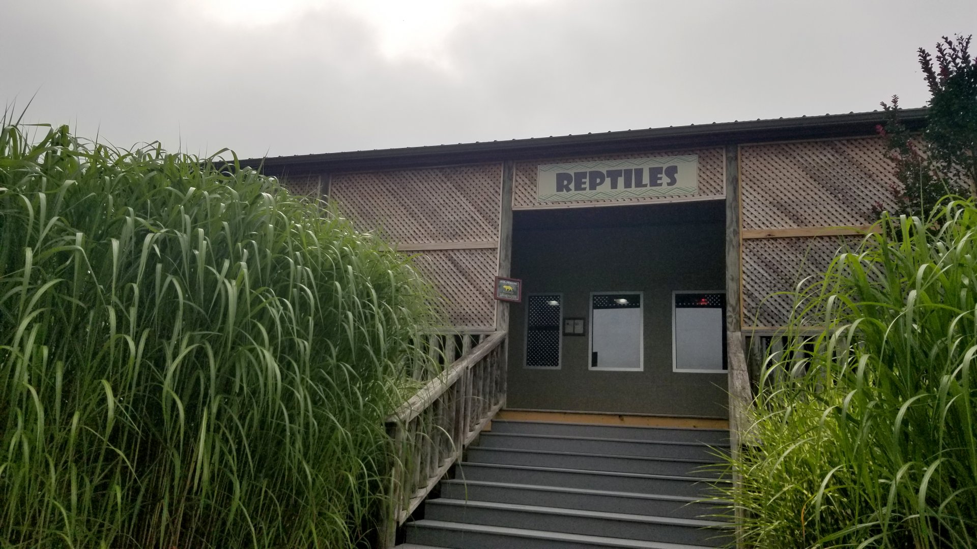 Virginia Safari Park - Reptile area