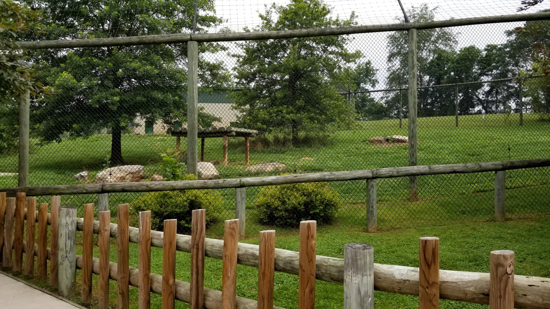 Virginia Safari Park - Right side of tiger exhibit