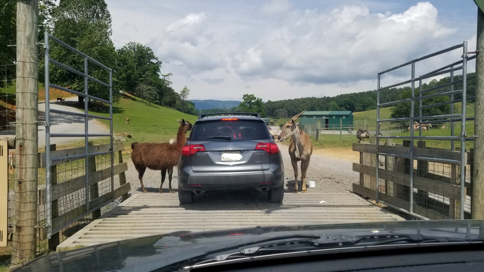 Virginia Safari Park - Safari entrance