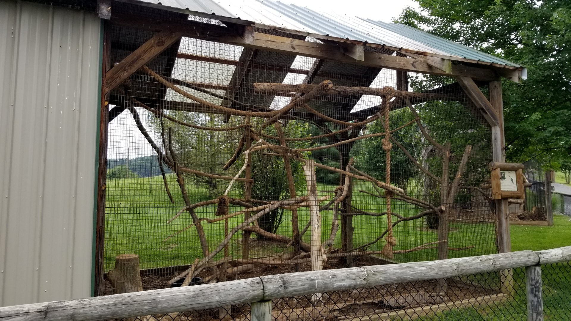 Virginia Safari Park - Tamandua