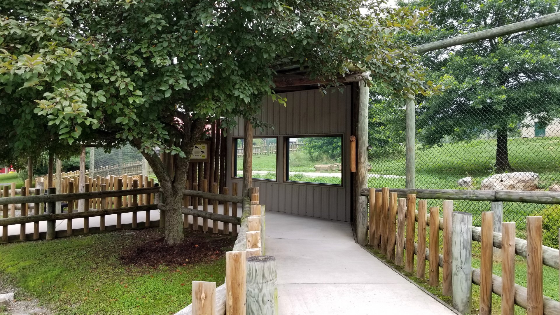 Virginia Safari Park - Tiger glass viewing area