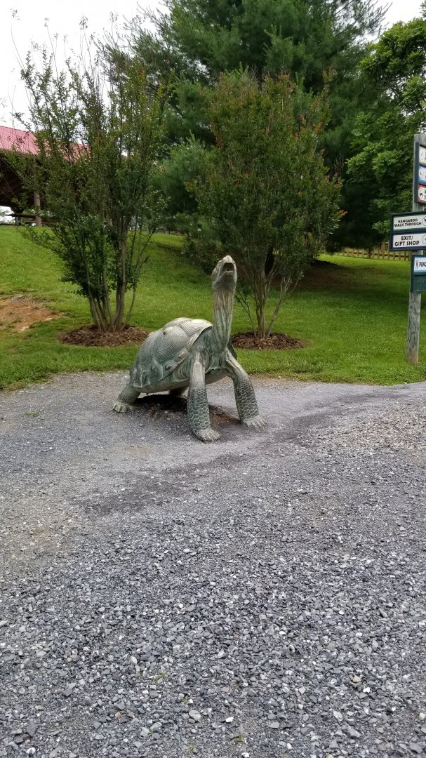 Virginia Safari Park - Tortoise statue