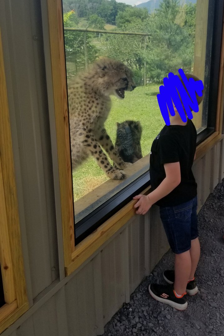 Virginia Safari Park - VERY fierce