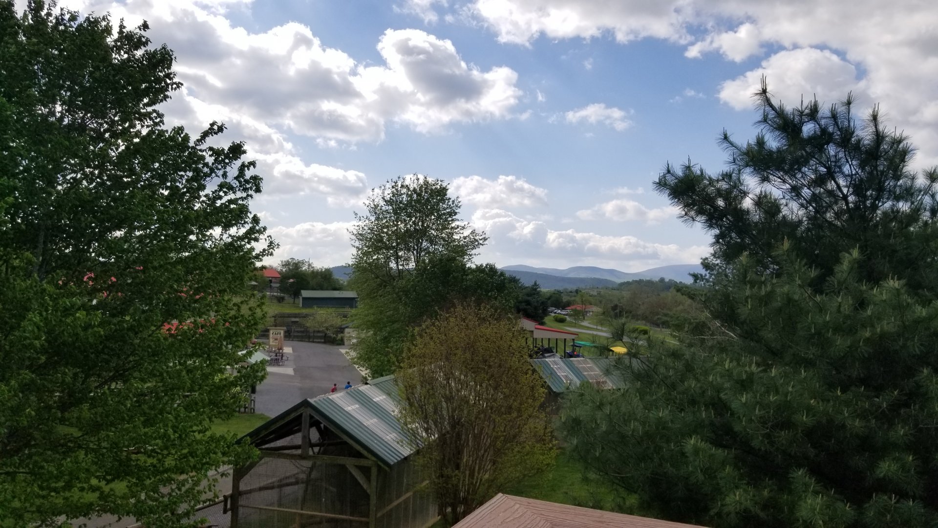 Virginia Safari Park - View from giraffe platform