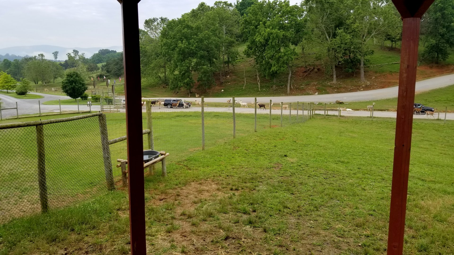 Virginia Safari Park - View of safari entrance from giraffe platform
