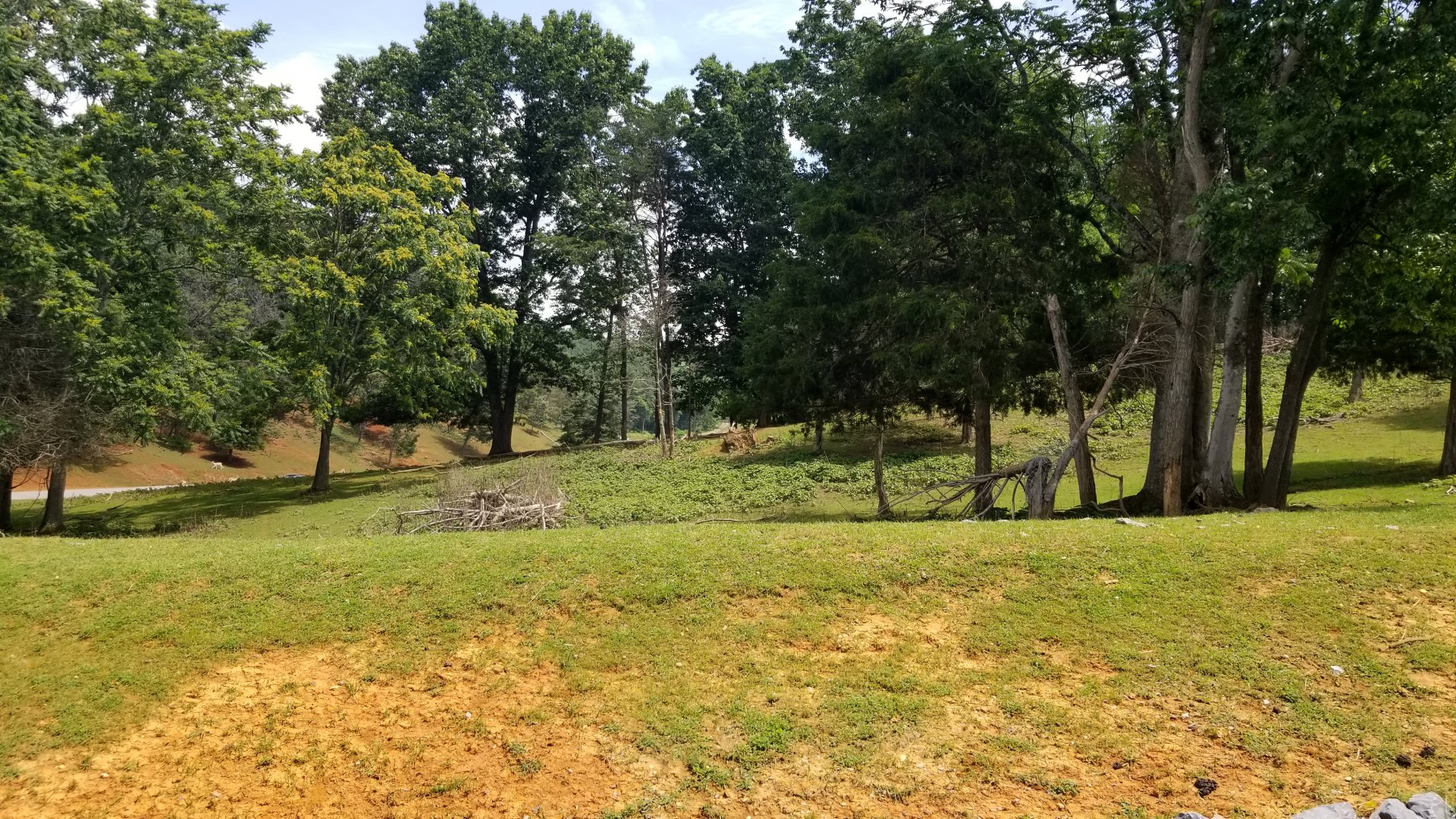 Virginia Safari Park - View
