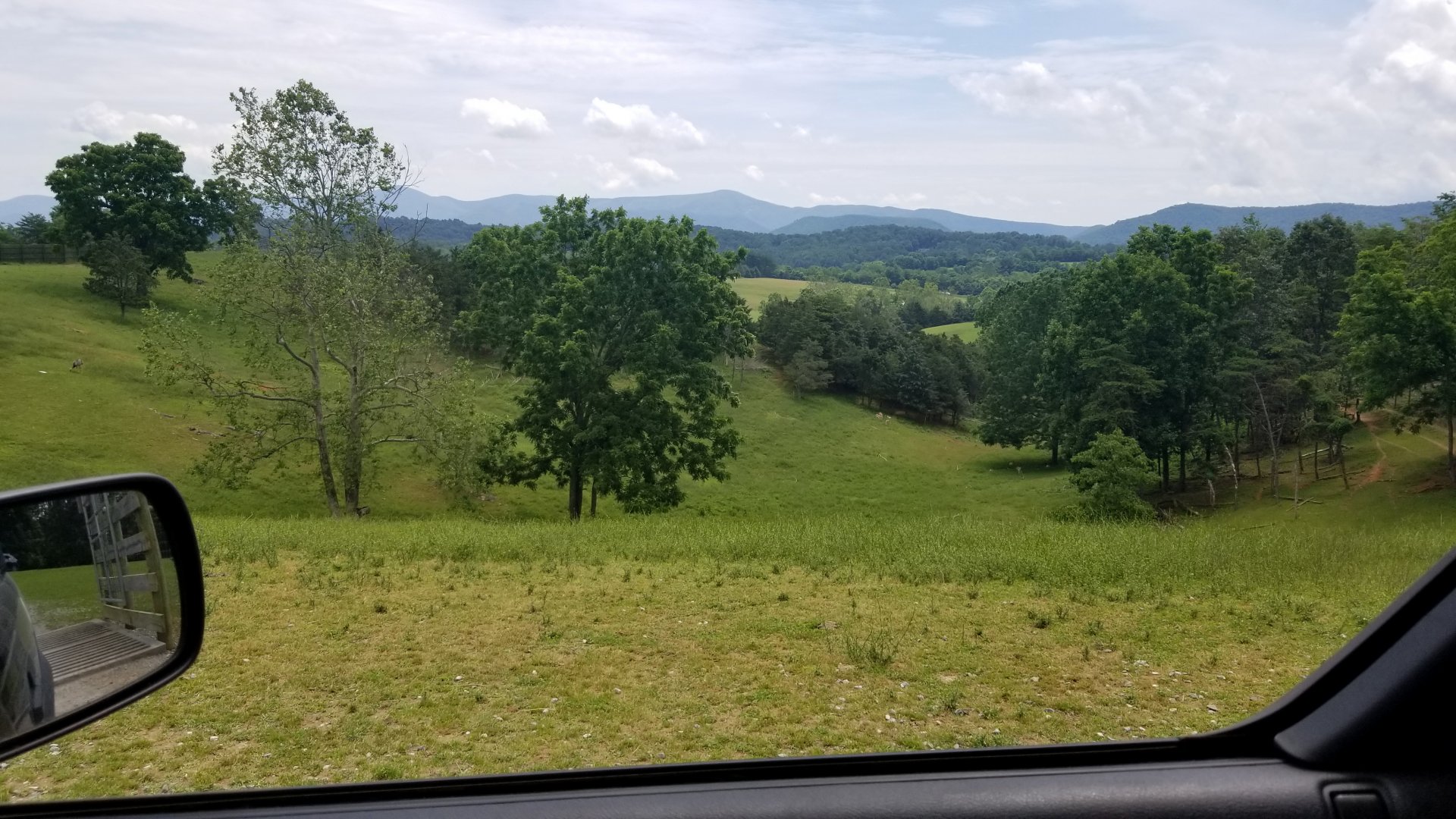 Virginia Safari Park - View