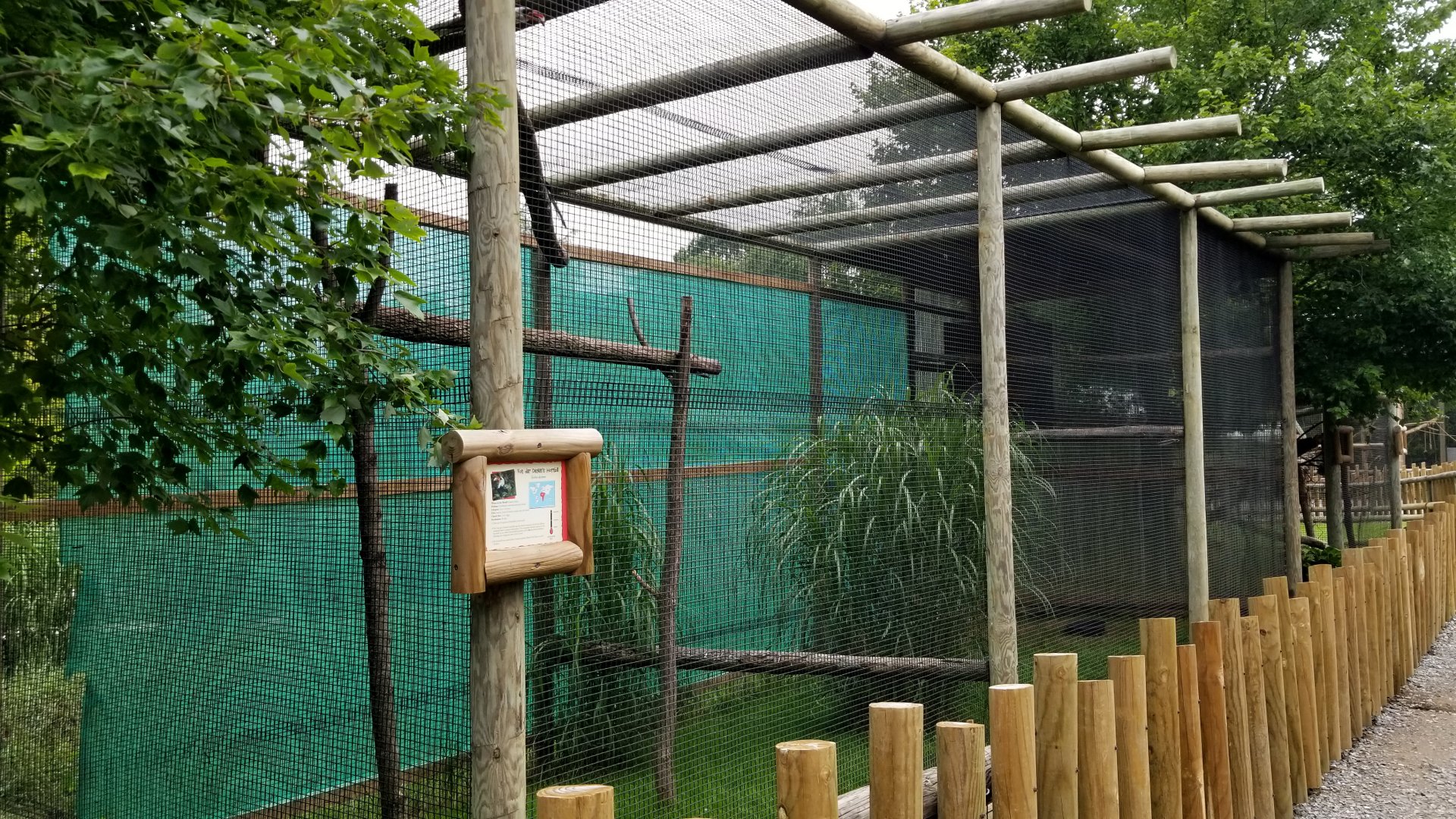 Virginia Safari Park - Von der Decken's Hornbill and curassow