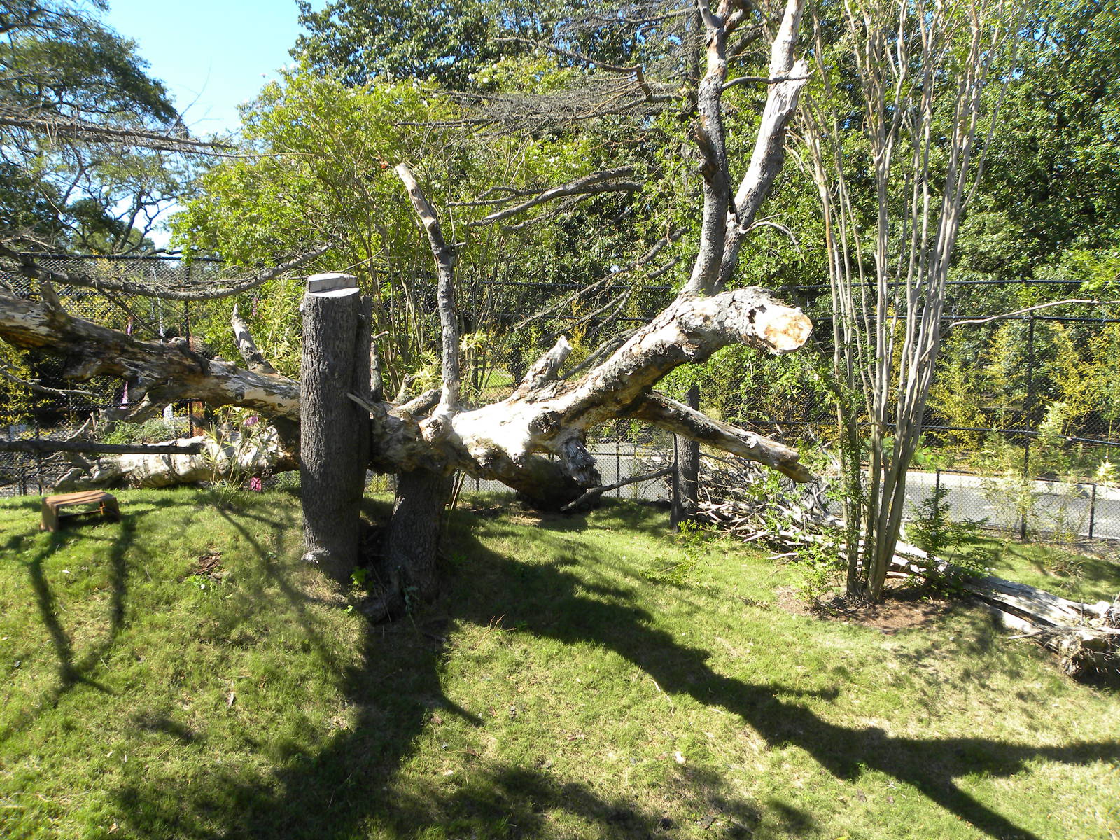 Virginia Zoo and Aquarium 049