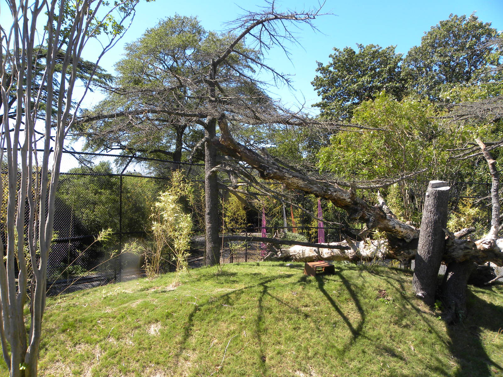 Virginia Zoo and Aquarium 052