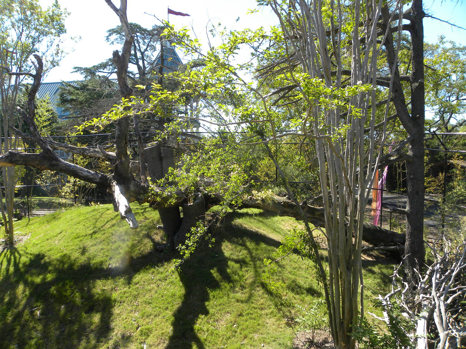 Virginia Zoo and Aquarium 056