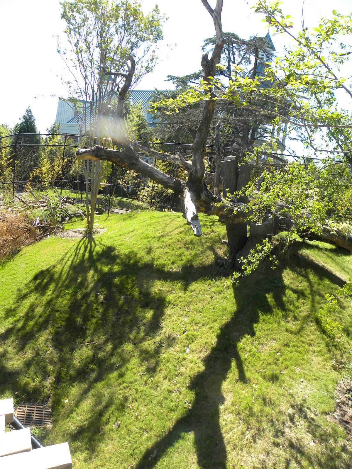 Virginia Zoo and Aquarium 057