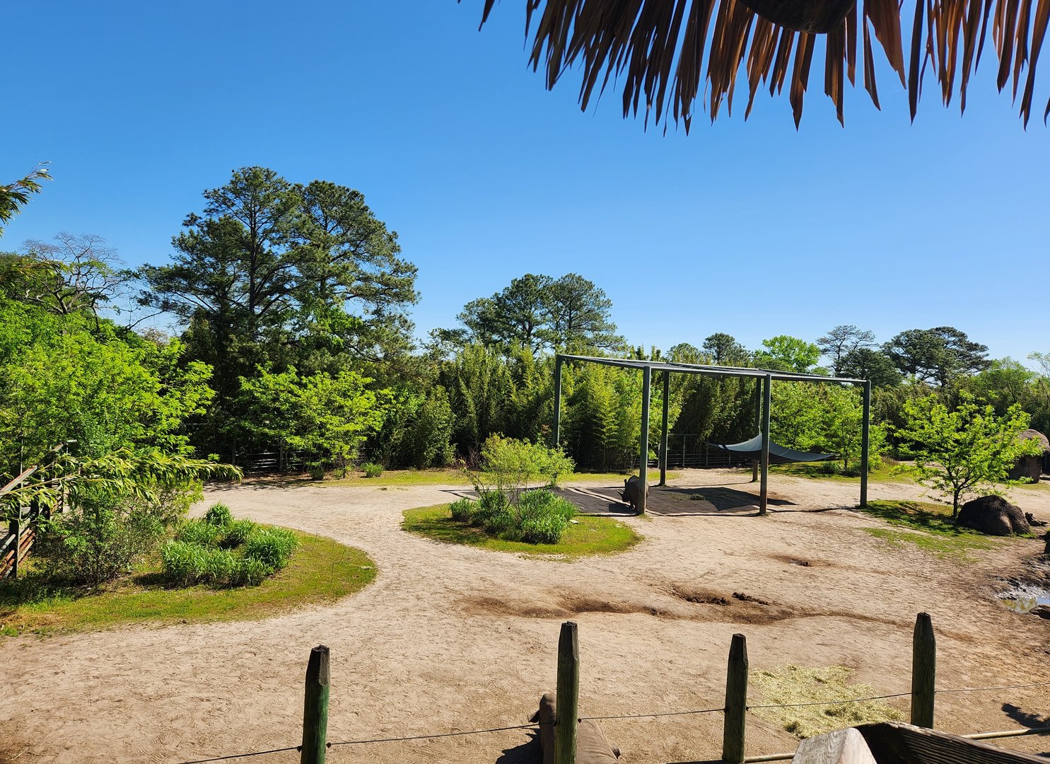 Virginia Zoo - Rhino exhibit (Okavango Delta)