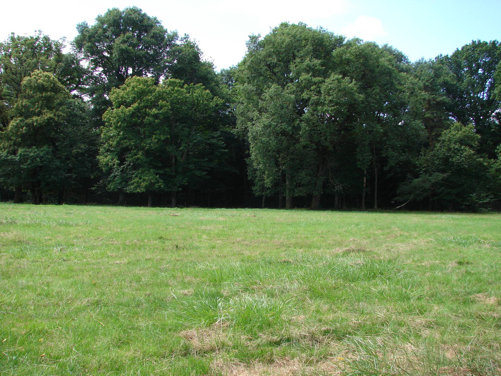 Virginian deers exhibit