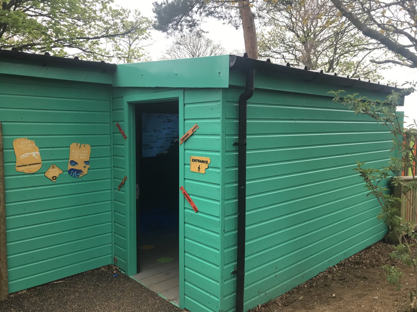 Virtual marine reptile experience