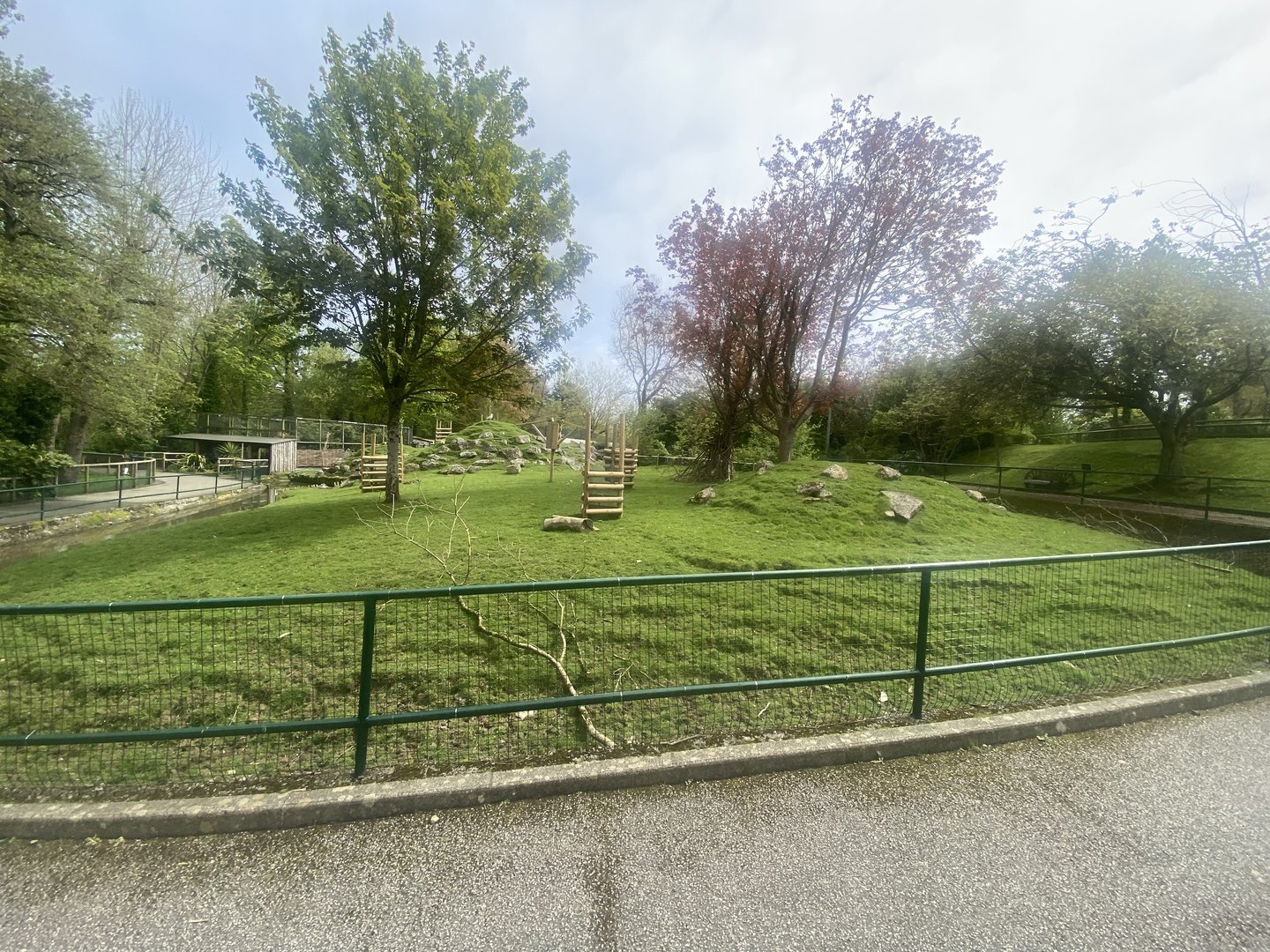 Visayan spotted deer enclosure 060523