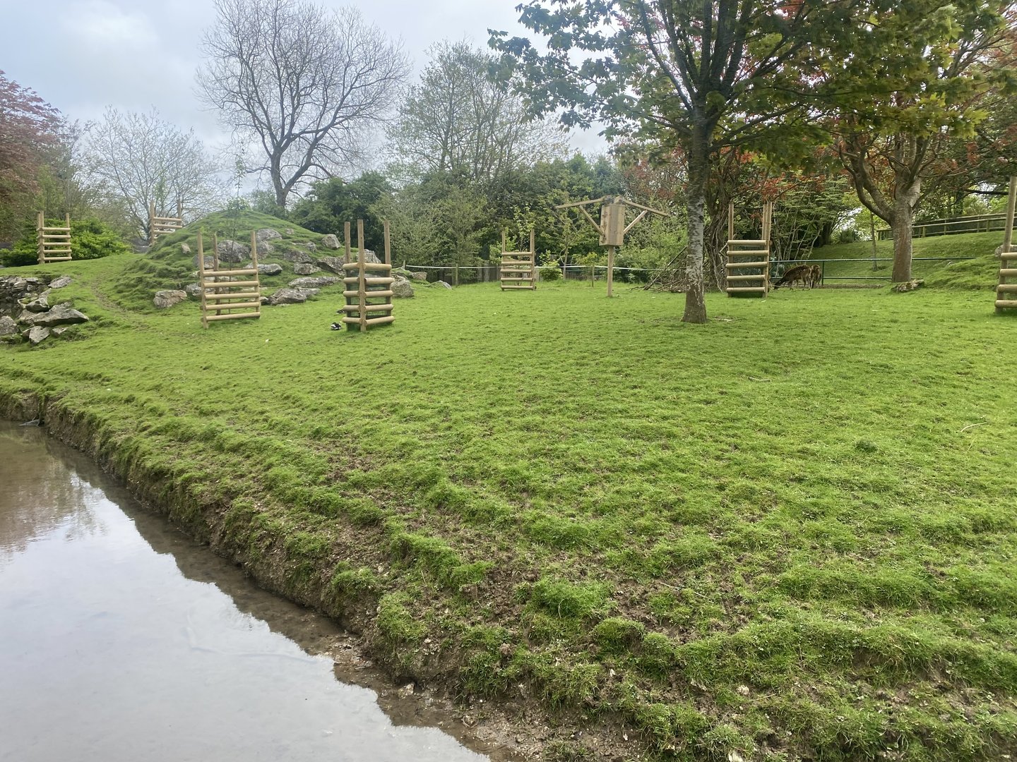 Visayan spotted deer enclosure 060523