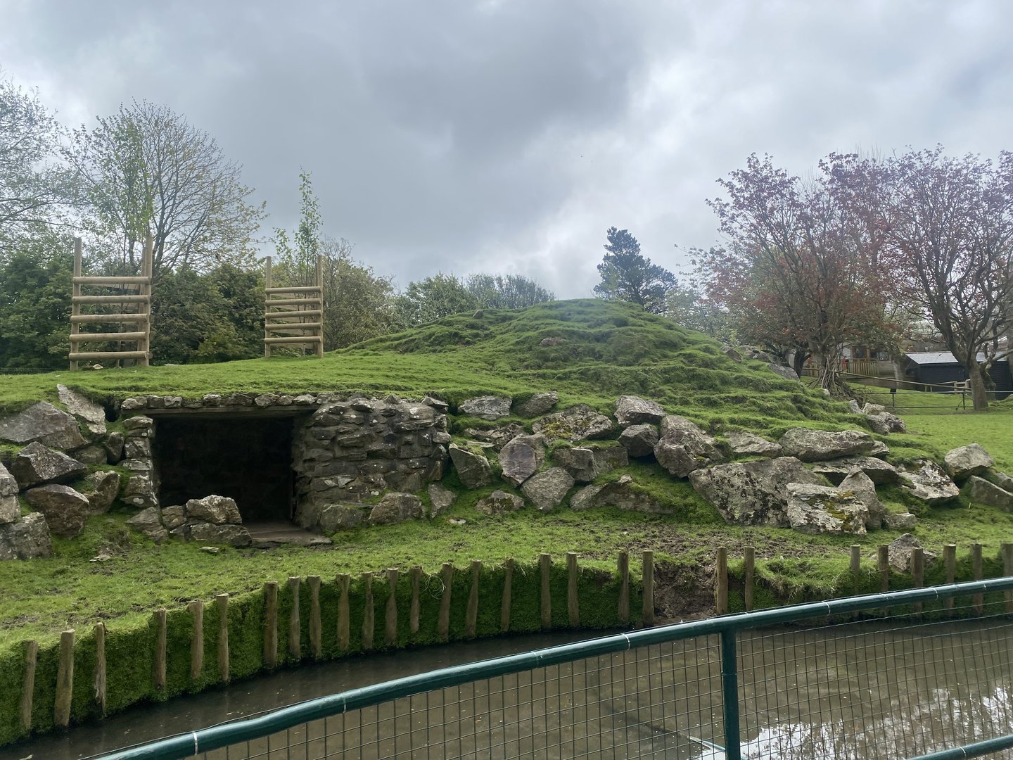 Visayan spotted deer enclosure 060523