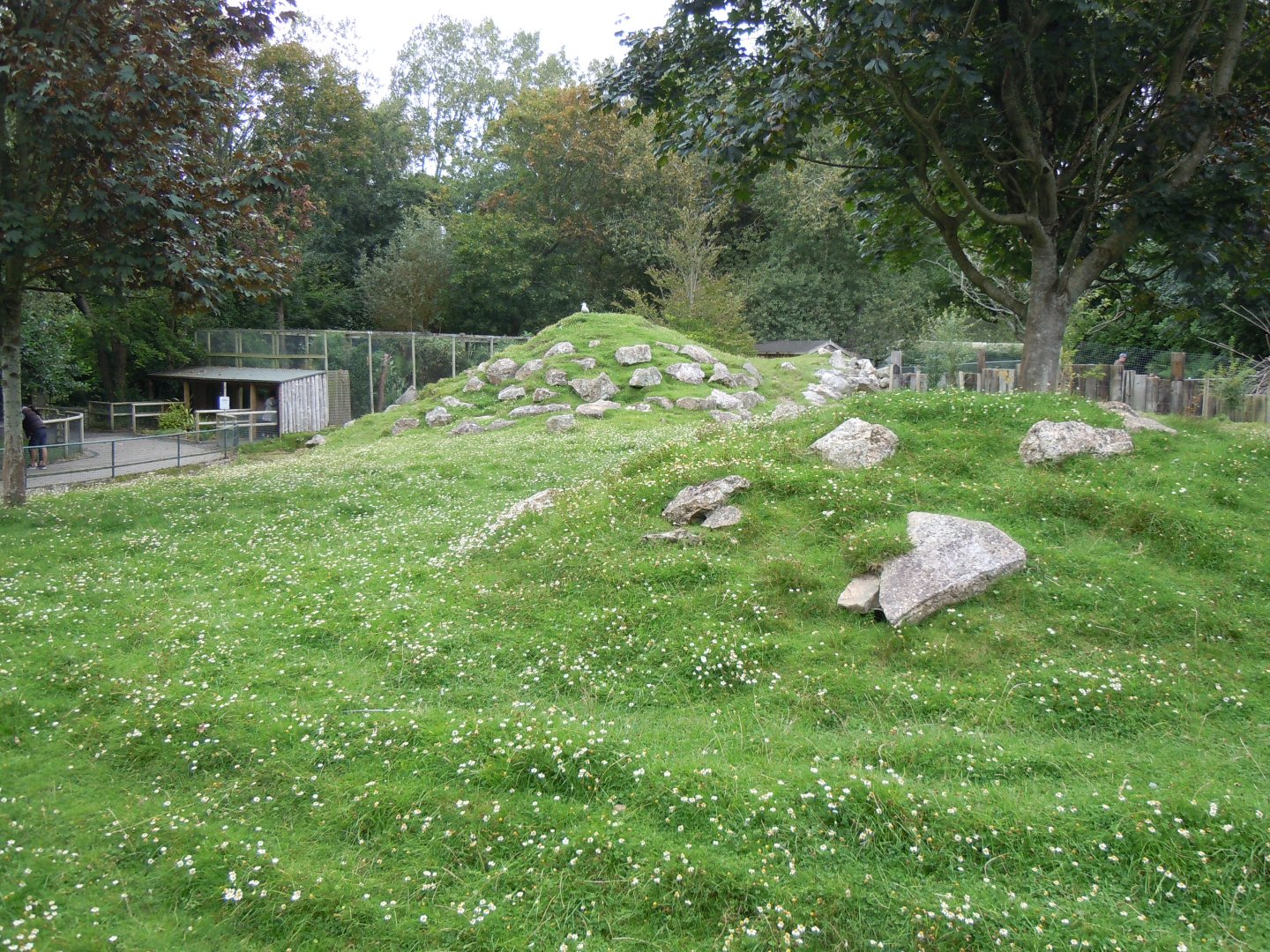 Visayan spotted deer enclosure 070920