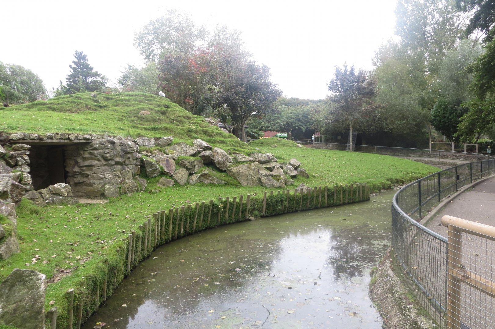 Visayan Spotted Deer enclosure 081018