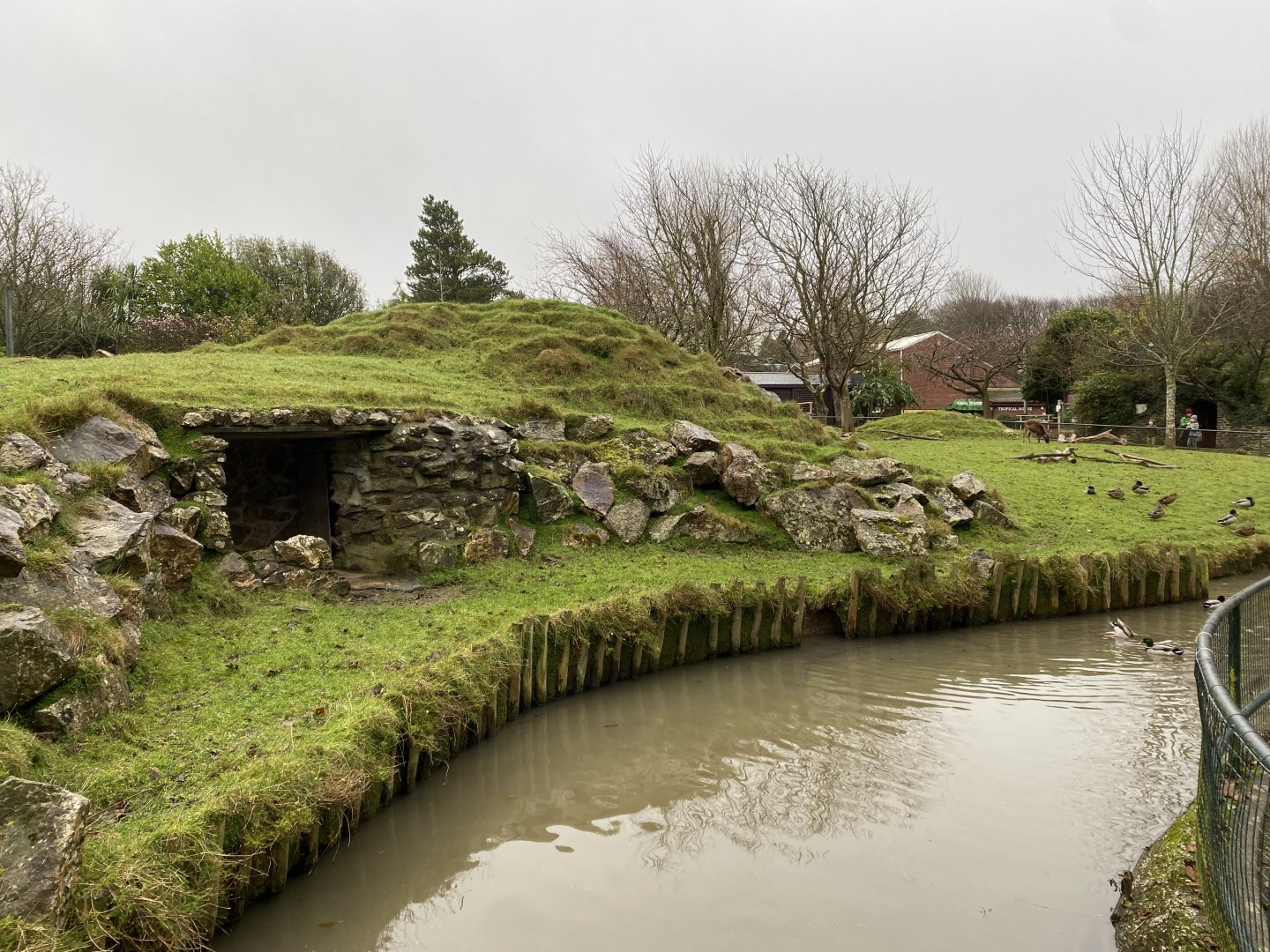 Visayan spotted deer enclosure 111221