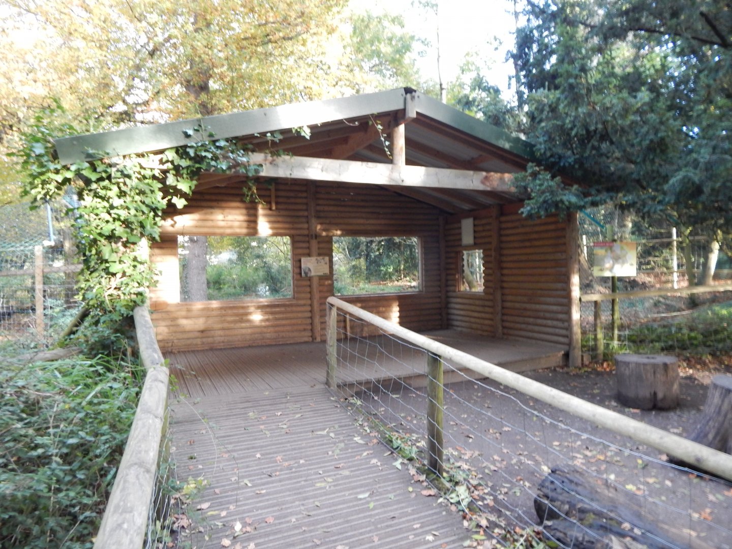 Visayan spotted deer enclosure viewpoint 051123