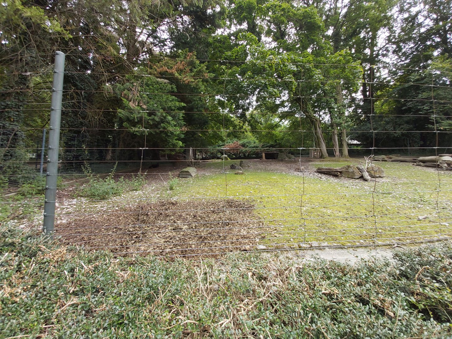 Visayan spotted deer enclosure