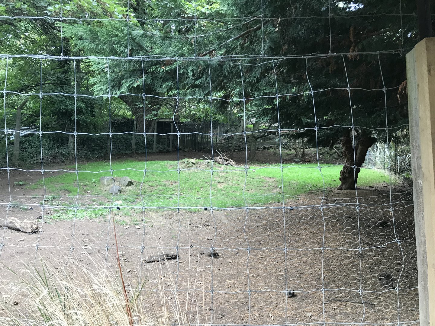 Visayan spotted deer enclosure