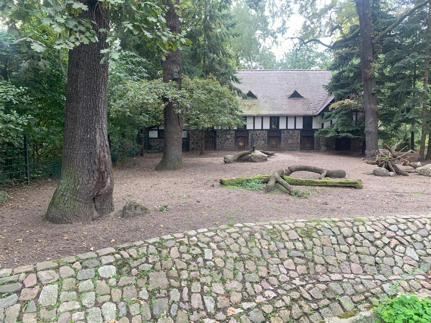 Visayan Spotted Deer enclosure