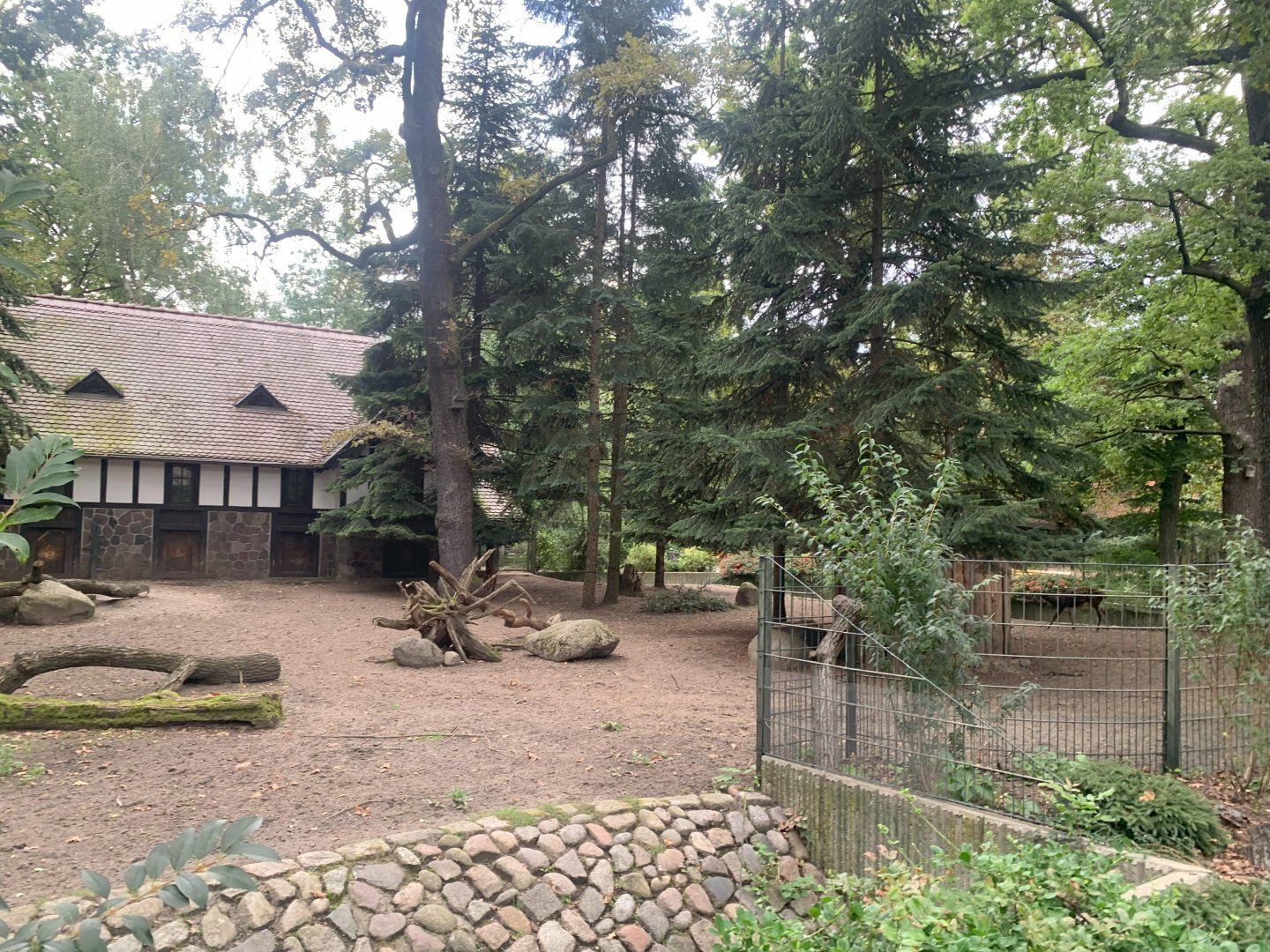 Visayan Spotted Deer enclosure