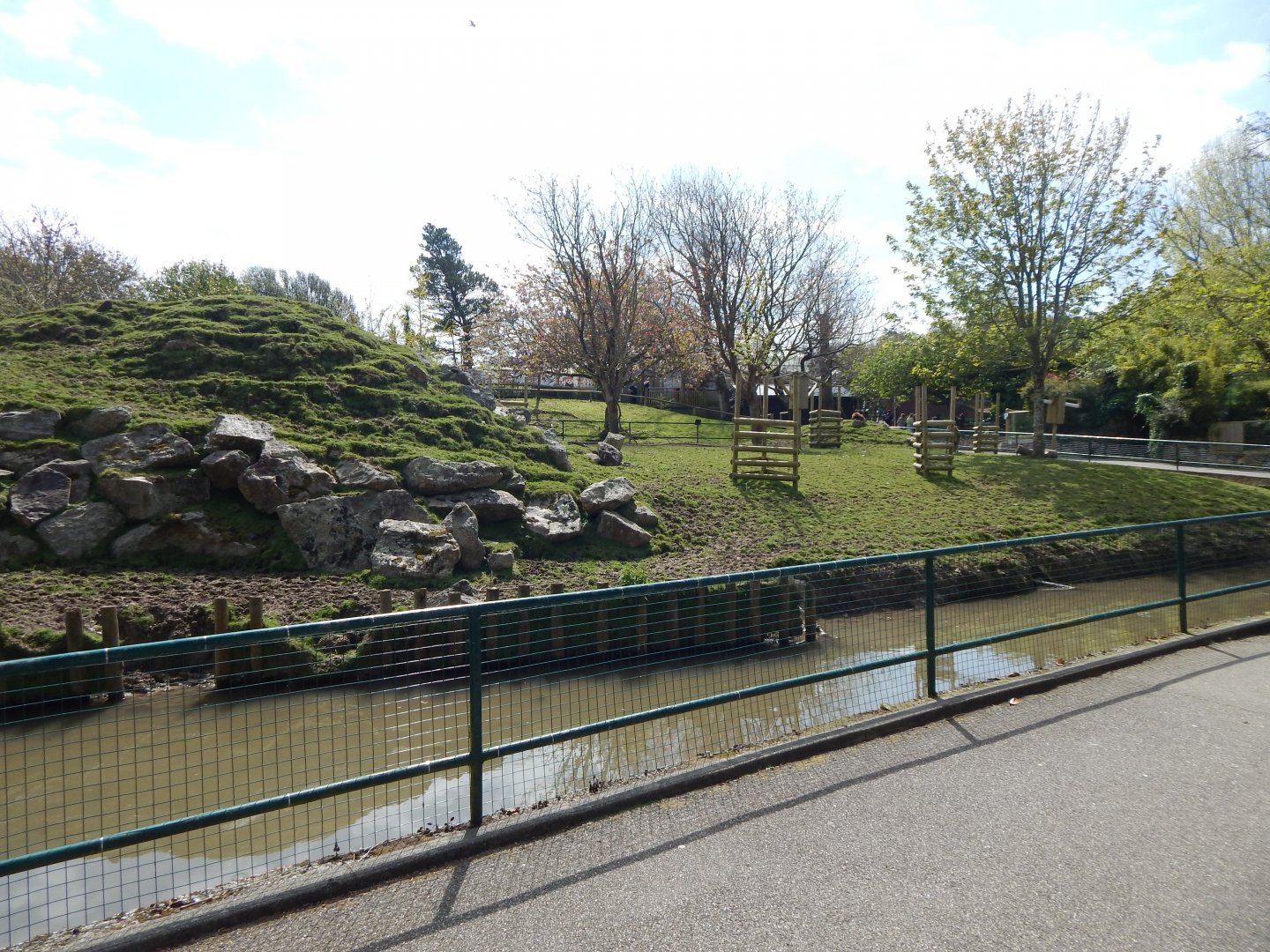 Visayan spotted deer exhibit 240424