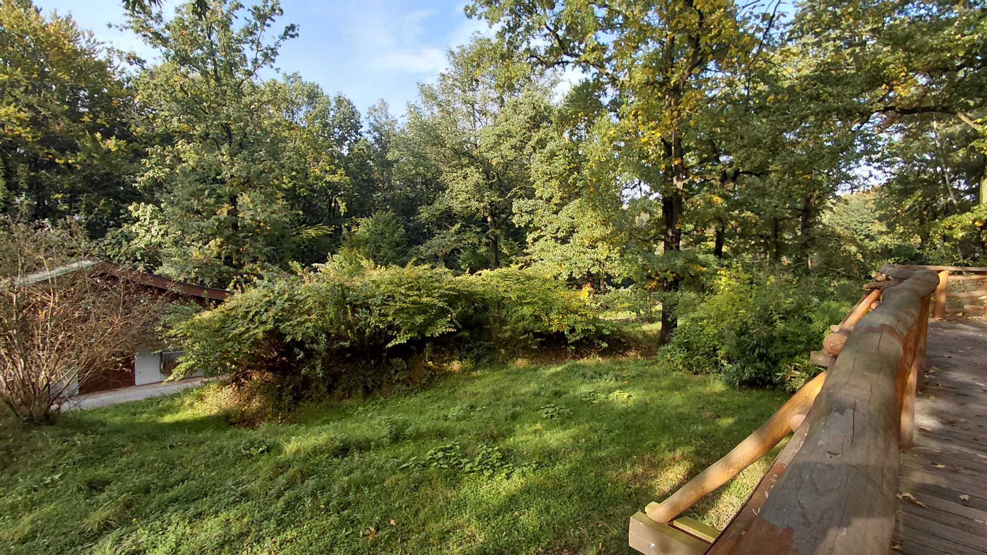 Visayan spotted deer exhibit