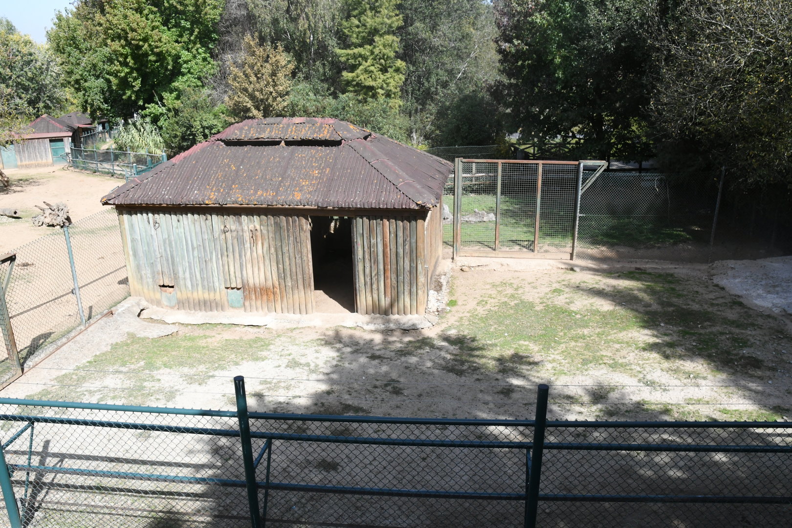 Visayan Spotted Deer paddock