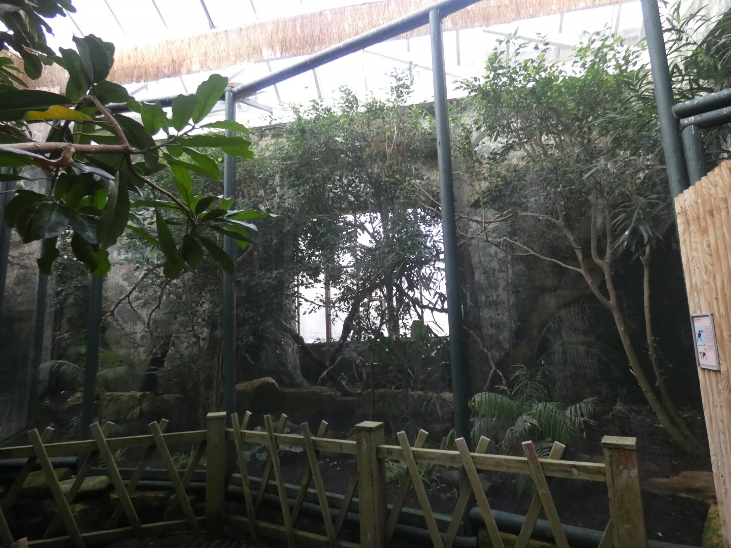 Visayan tarictic hornbill aviary (Bird house)