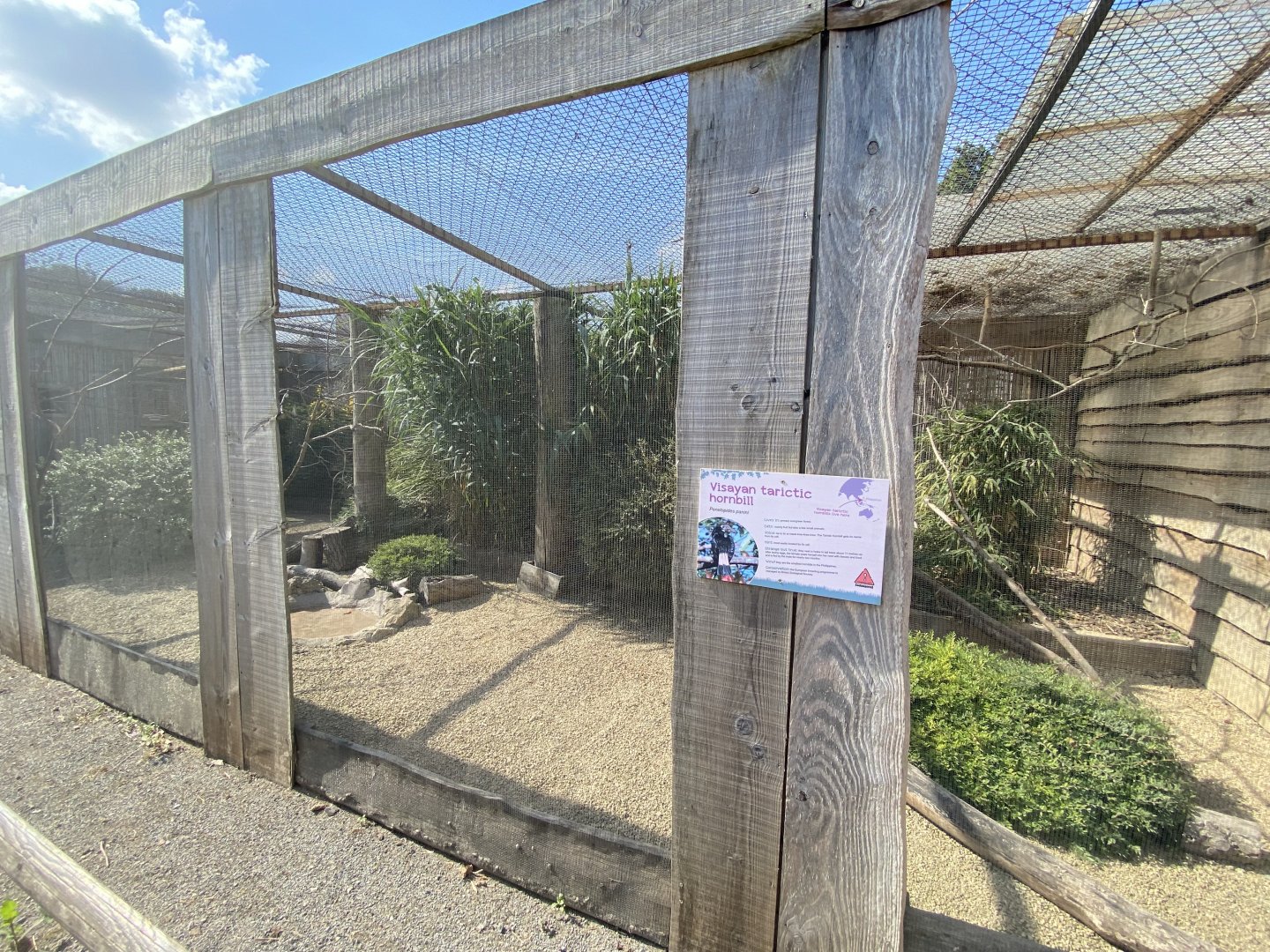 Visayan tarictic hornbill aviary