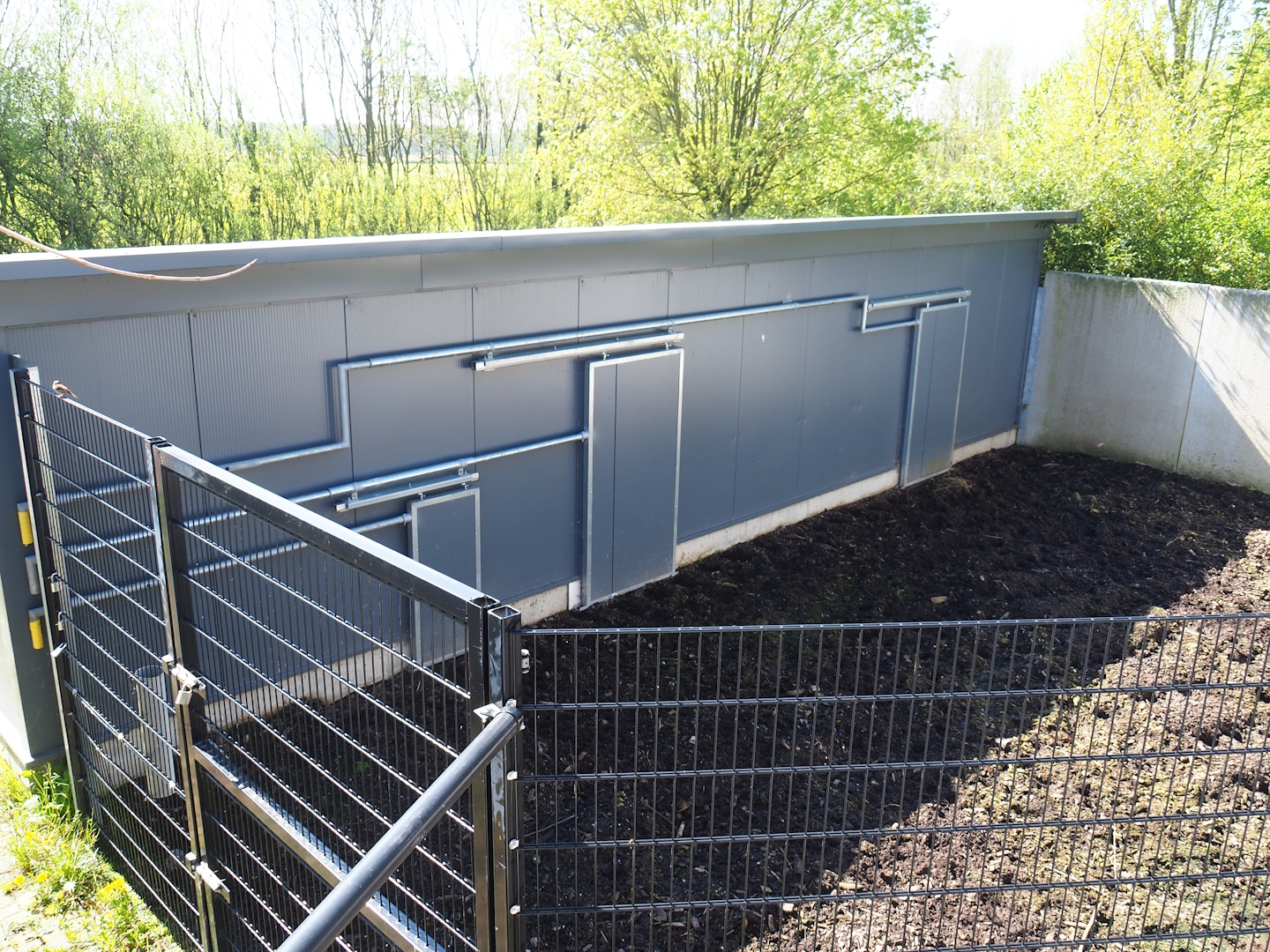 Visayan warty pig and Indian hog stable, 2023-04-30