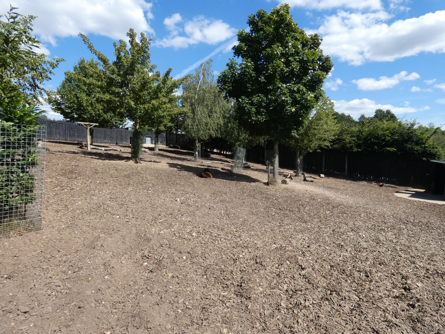 Visayan Warty Pig and Philippine Spotted Deer enclosure