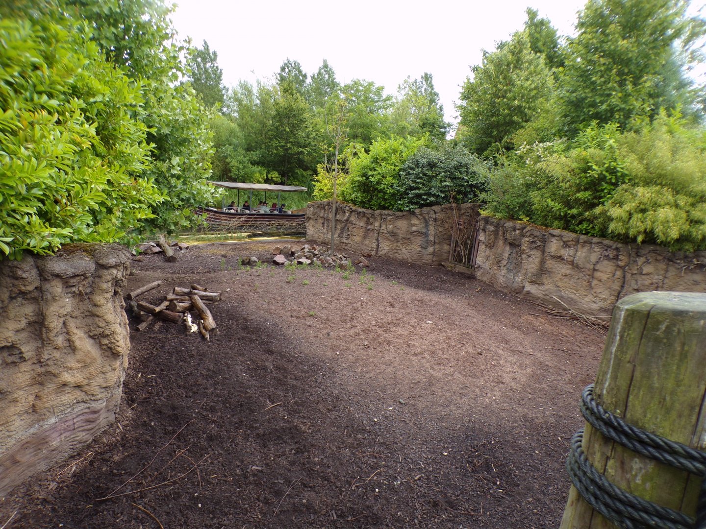 Visayan warty pig enclosure 29.6.24