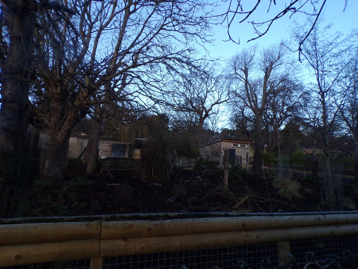 Visayan warty pig enclosure Former white-faced saki walkthrough enclosure 1.1.24