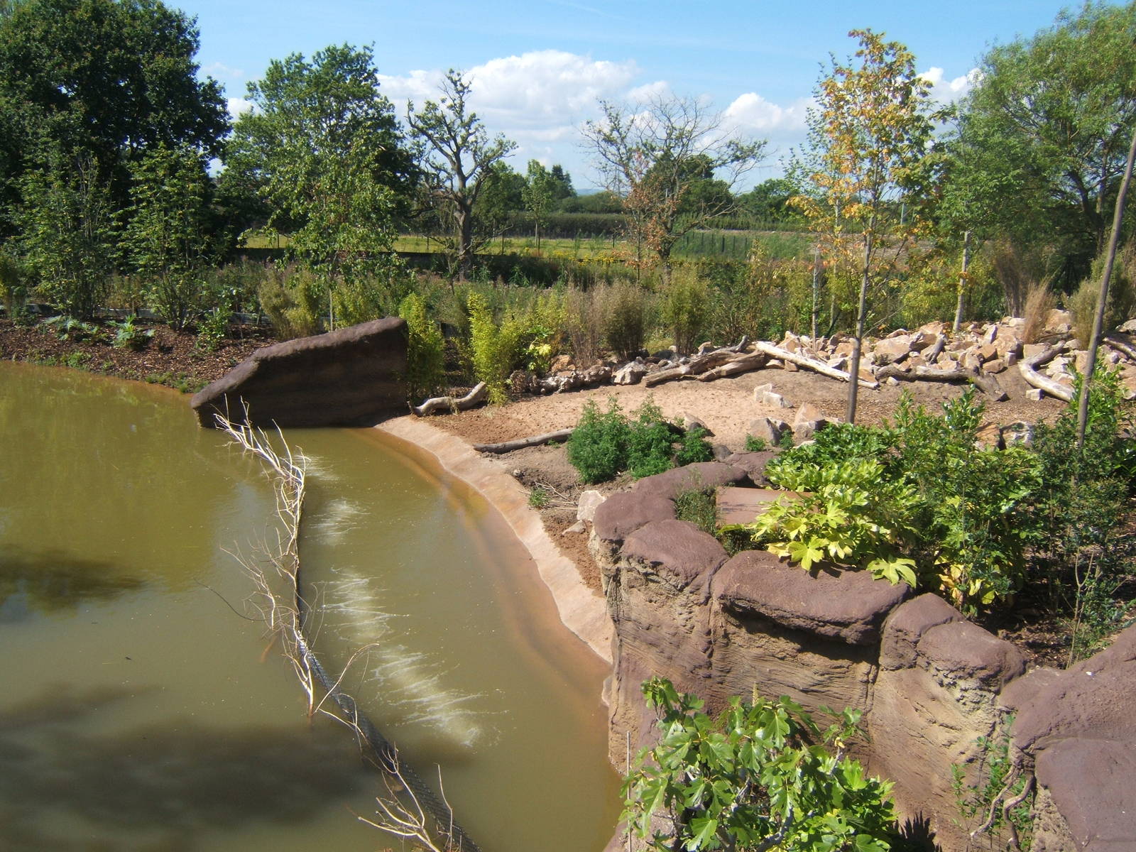 Visayan Warty Pig enclosure