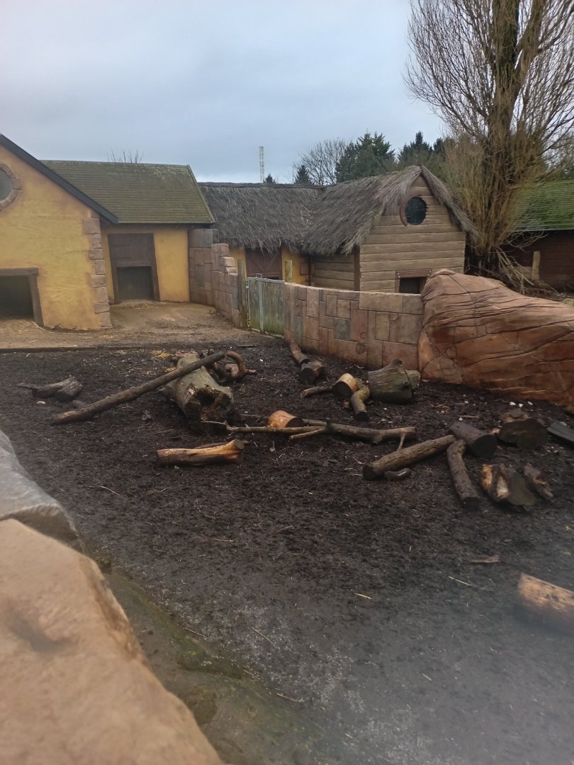 Visayan Warty Pig enclosure