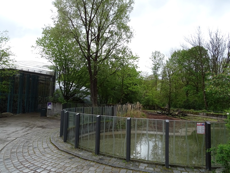 Visayan warty pig enclosure