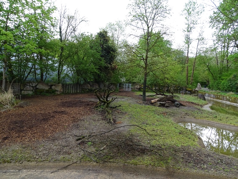 Visayan warty pig enclosure