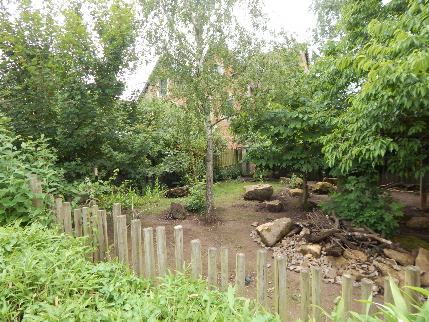 Visayan warty pig exhibit 190622